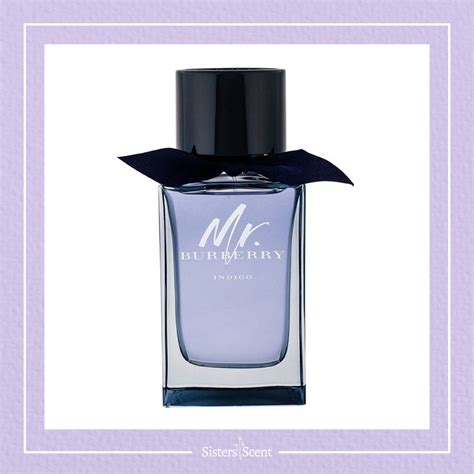 mr burberry indigo 100 ml